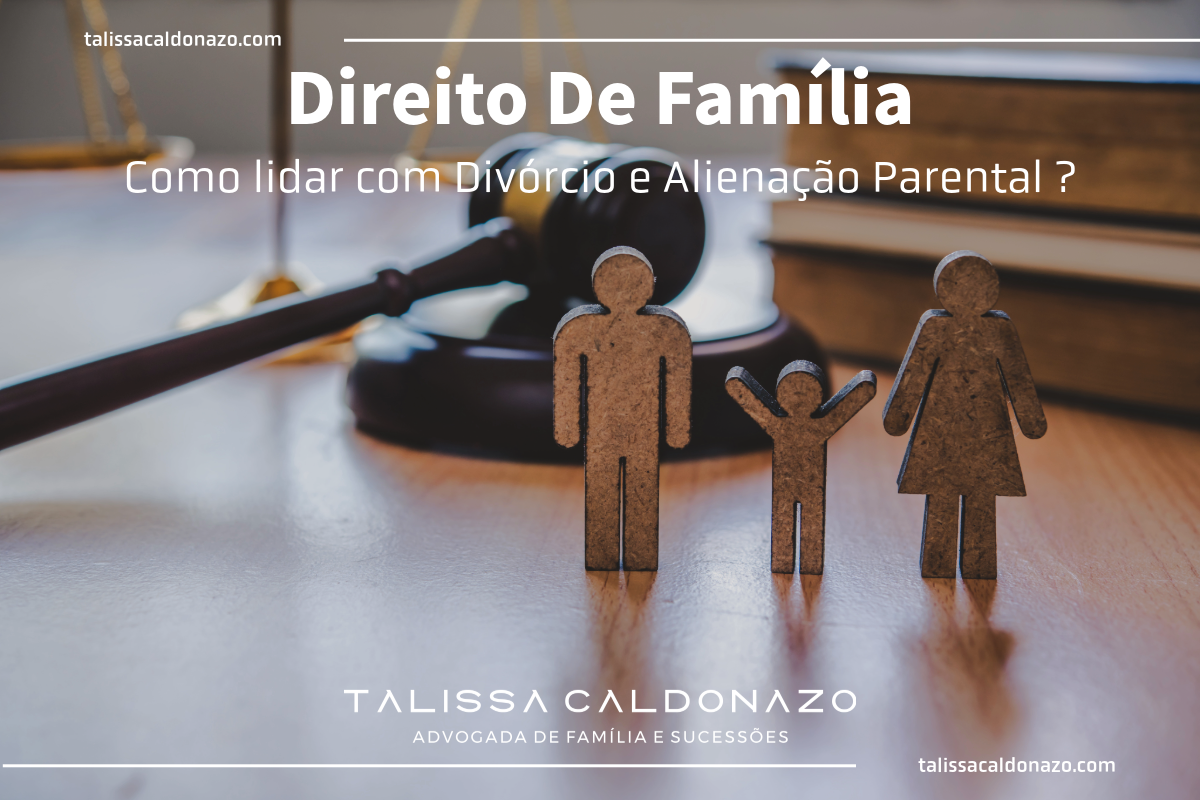Direito de Família: Como lidar com Divórcio e Alienação Parental - Lei Maria da Penha - Importância de ter um advogado especialista em Campinas - Vara de Família - Dra. Talissa Caldonazo, advogada especialista em Direito de Família e Sucessões